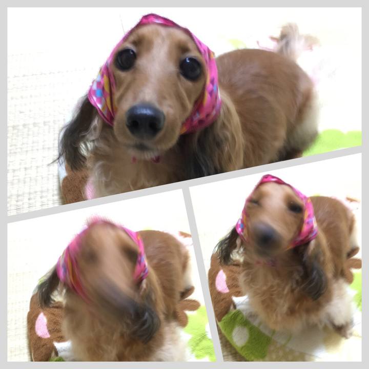 84d74cd6 6cb5 4369 9ad2 8b815310dc57 1508730203529