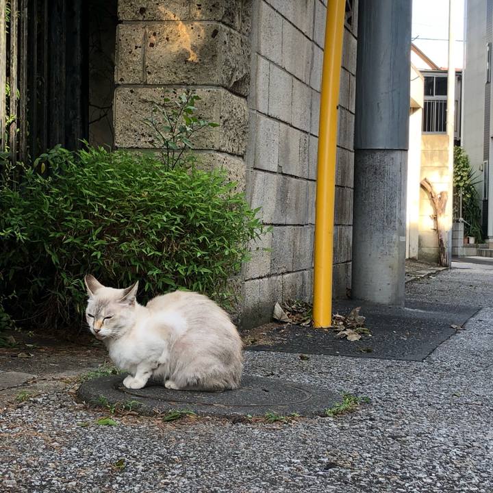 84d786d4 b916 41c6 bef6 ff16c5b41edc 1633427600794