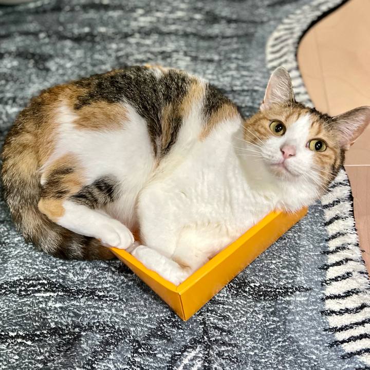 84d79aab 3816 4571 aae4 fe8afa3f1a9f 1755920242124