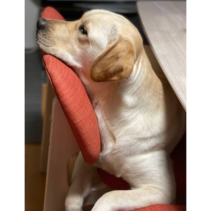 84d79edf 1dc5 4f31 944b 35731d1774ed 1657924945215