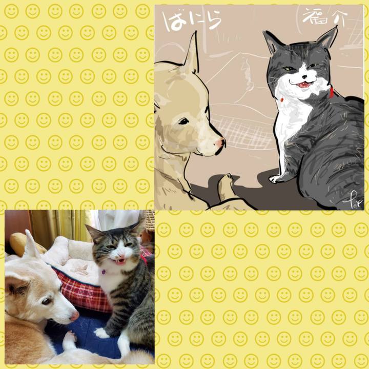 84d7a8e0 29cd 43e2 910b 164eec834346 1697855906389