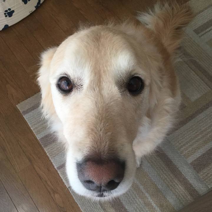 84d7e5c5 27ba 4f0d b2f6 f649a4e044a9 1517038677238