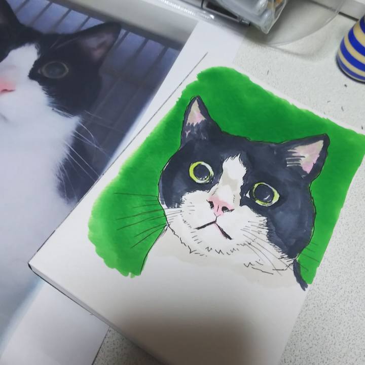 84d7fb6e 822e 480c a66b fed1a1a4fbac 1572351496319