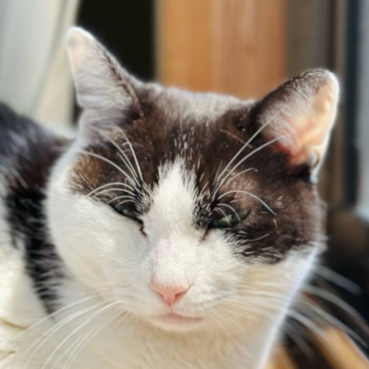 84d8016e 405a 401d 8e34 bd8b5c69df5c 1682122626729