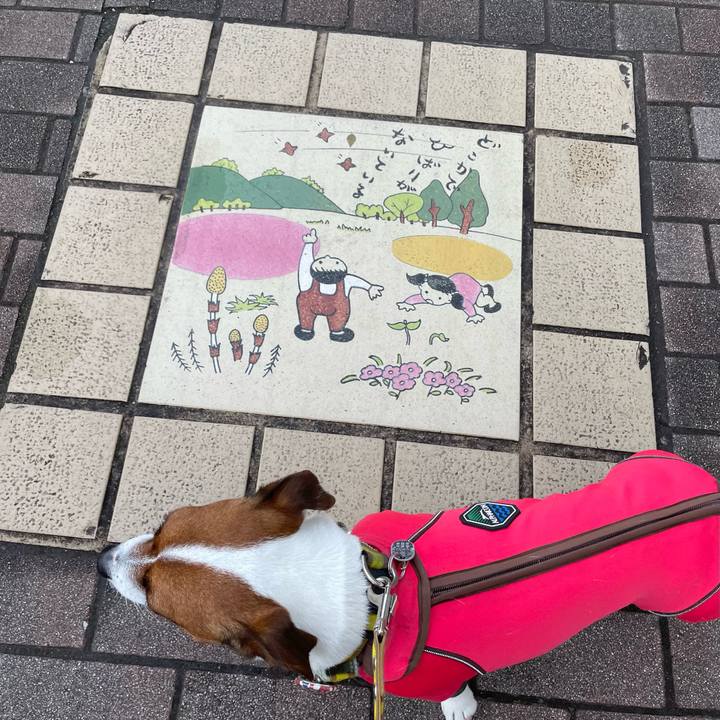 84d82f6a 1a00 4bc5 96a5 ca75dadc1f9b 1646544837114