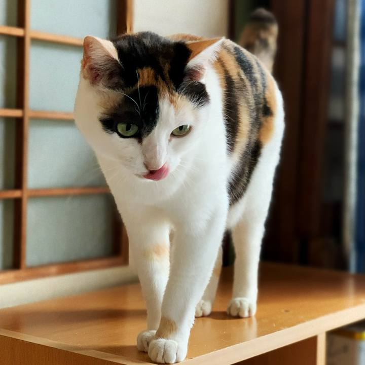 84d83297 d338 4818 9253 de459b920498 1596159878656