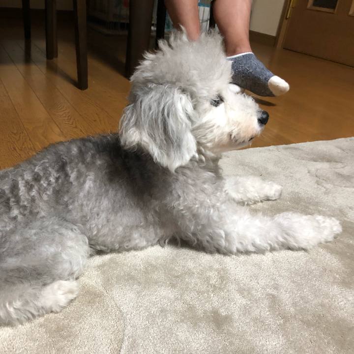 84d88bd2 6436 4a06 ade9 e5039315722a 1629418026626