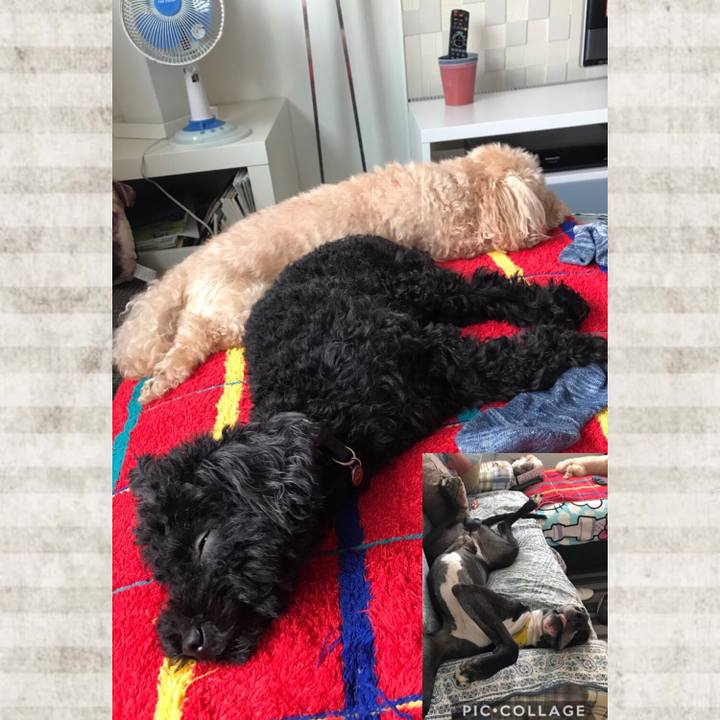 84d88fac b078 4161 968d b995fce67daa 1534572857971