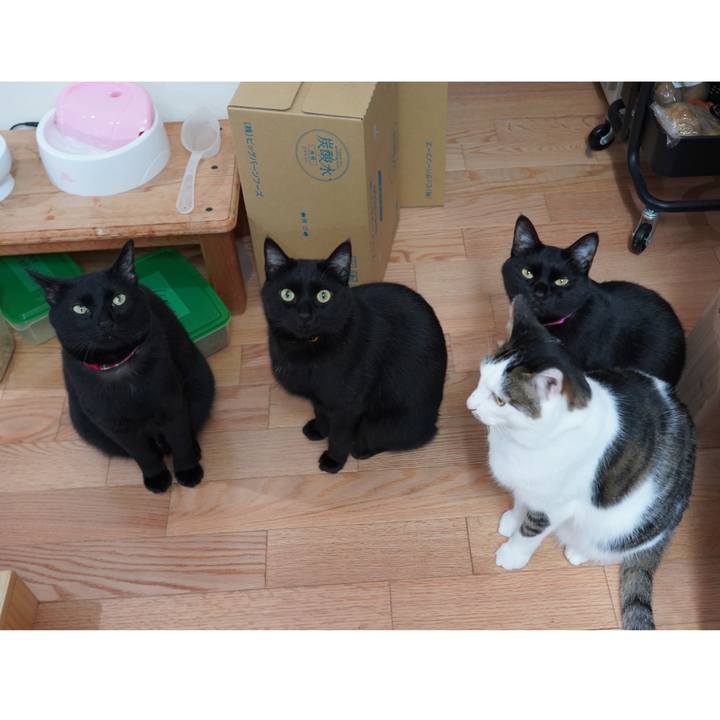 84d896ec aa6b 4f0c 8a70 afe77e6ec9d6 1597674109949