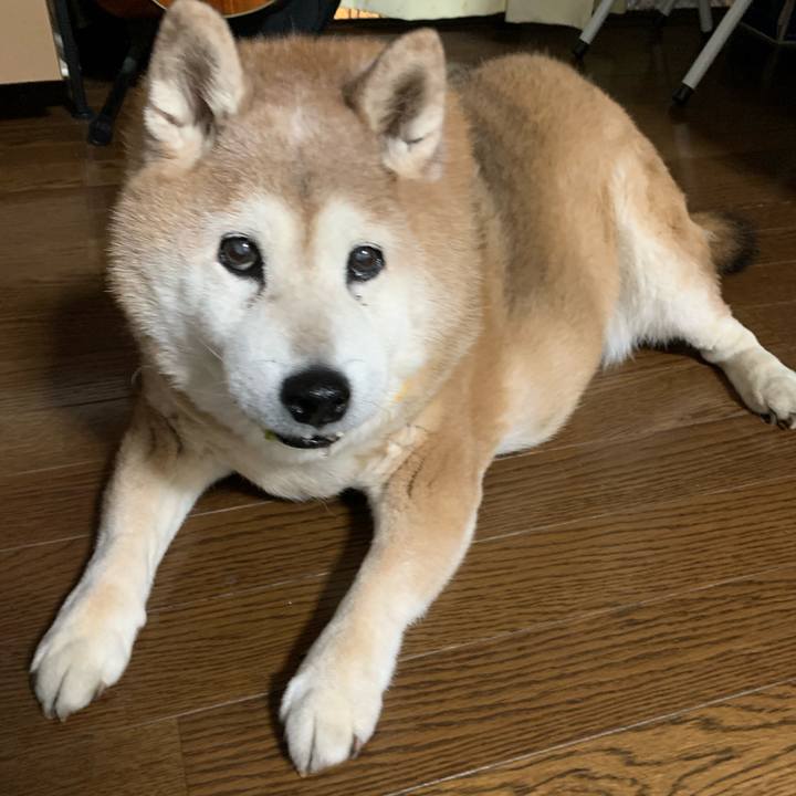 84d89a2b d7c4 4b12 96c2 82b8d14e1e1c 1646953558848