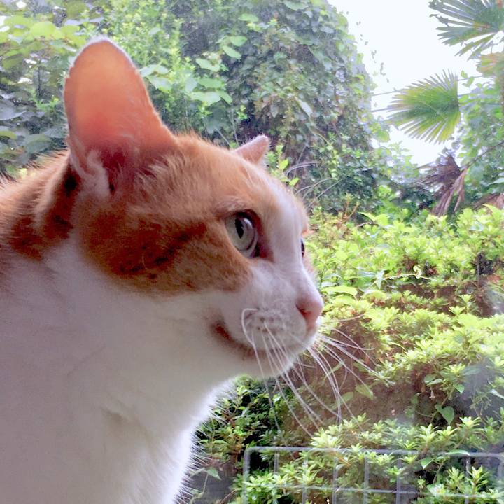 84d89ef9 e3f0 4533 b6d2 4faafb91fb7b 1568089128632