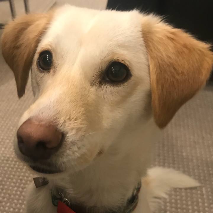 84d8a9f5 9167 41c9 86e7 03955754bdb6 1520681801024