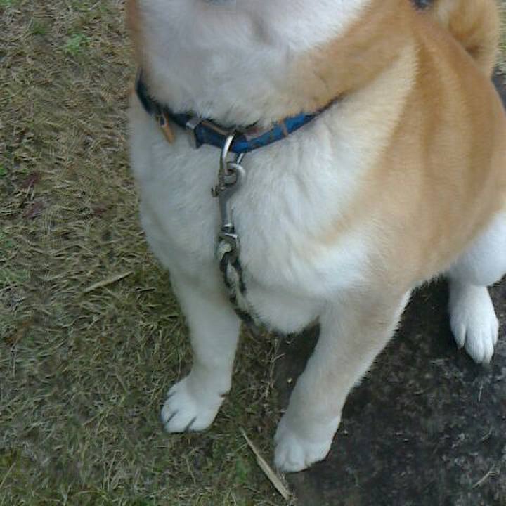 84d8cfa3 6b46 4c37 993f e857a02af7b4 1552812265615