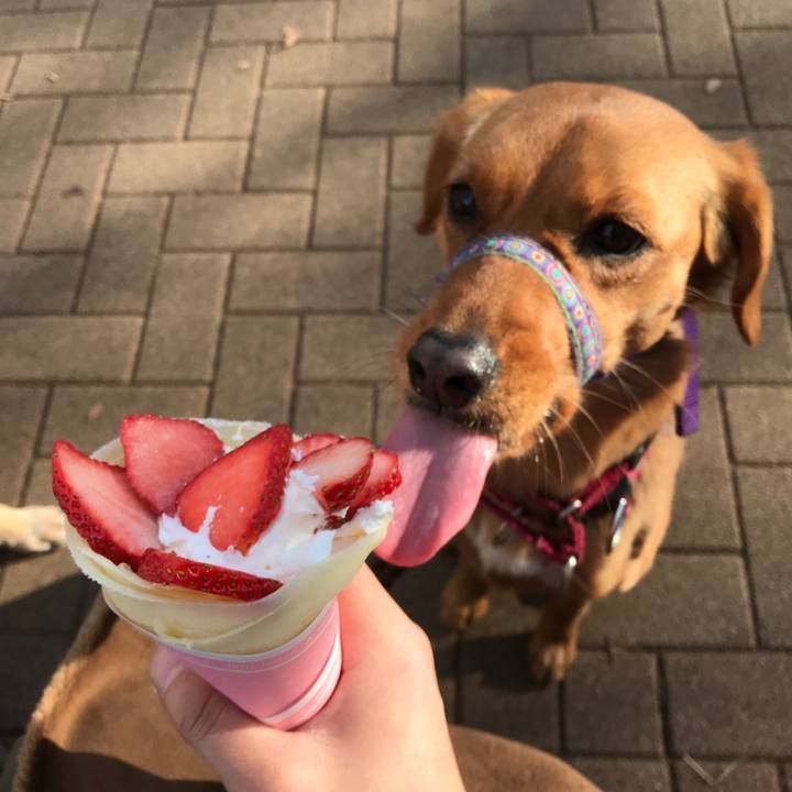 84d910b4 d6eb 4547 a11a 32ba09ab7763 1518418274573