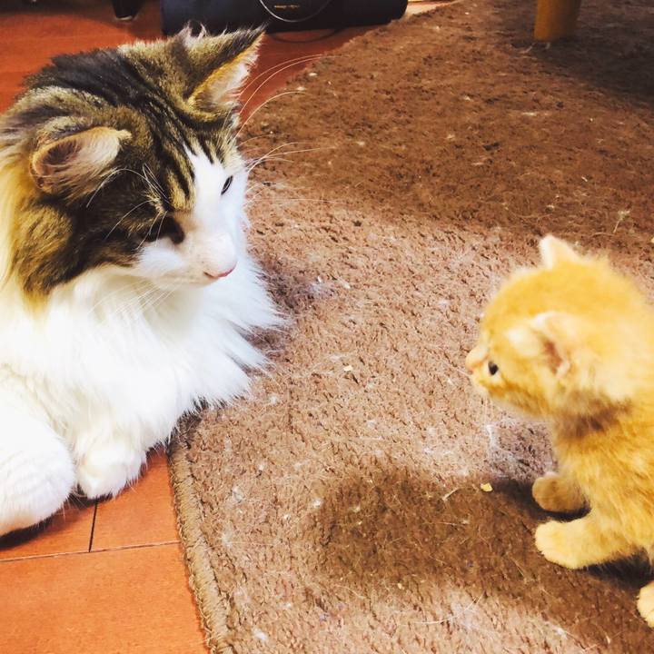 84d92656 79d1 4b8b 8a3c ea08f25f0cfd 1559876893168