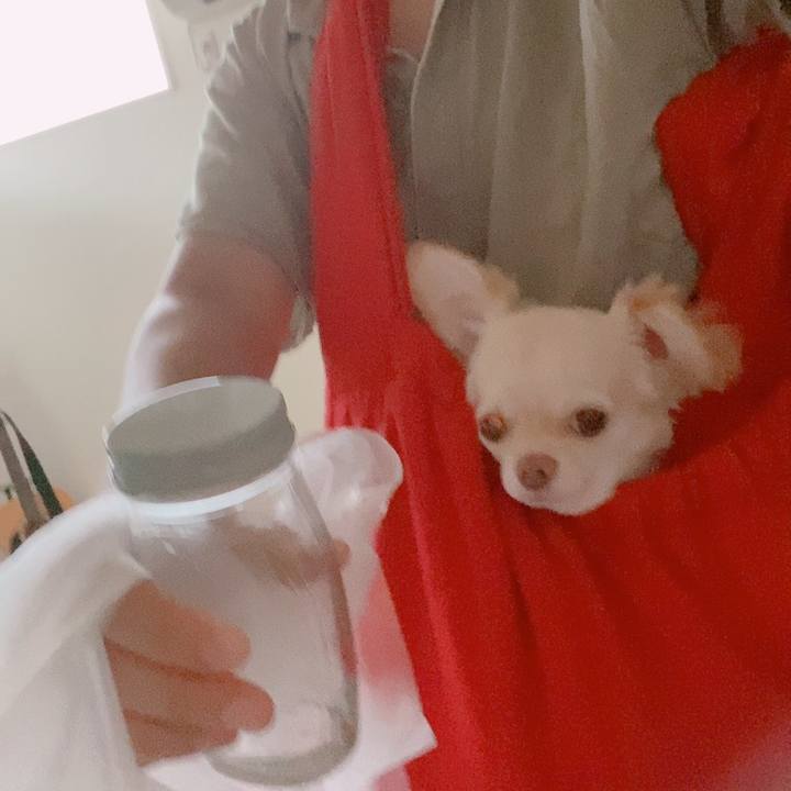 84d9280a b08b 4a2d bb81 1056cb1c6b9f 1629065588516