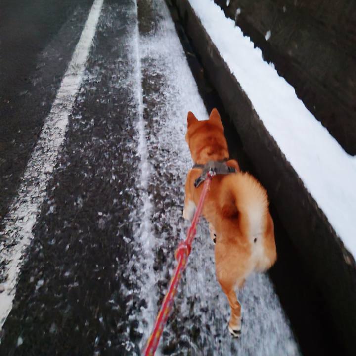 84d94786 da7a 46e2 a3ad f2f96ff67bb1 1770608439988