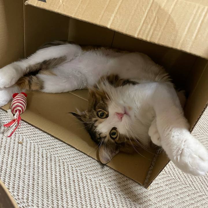 84d95c7f cc2a 4a8c beff 078d243325ab 1659954811704