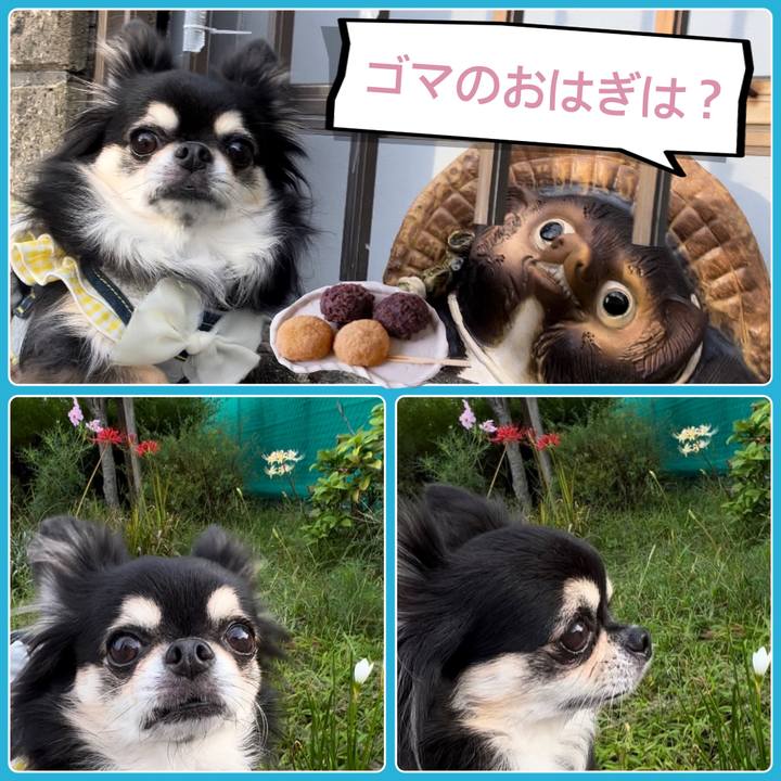 84d98419 9186 42ad bb09 3585c457a83f 1695520464524