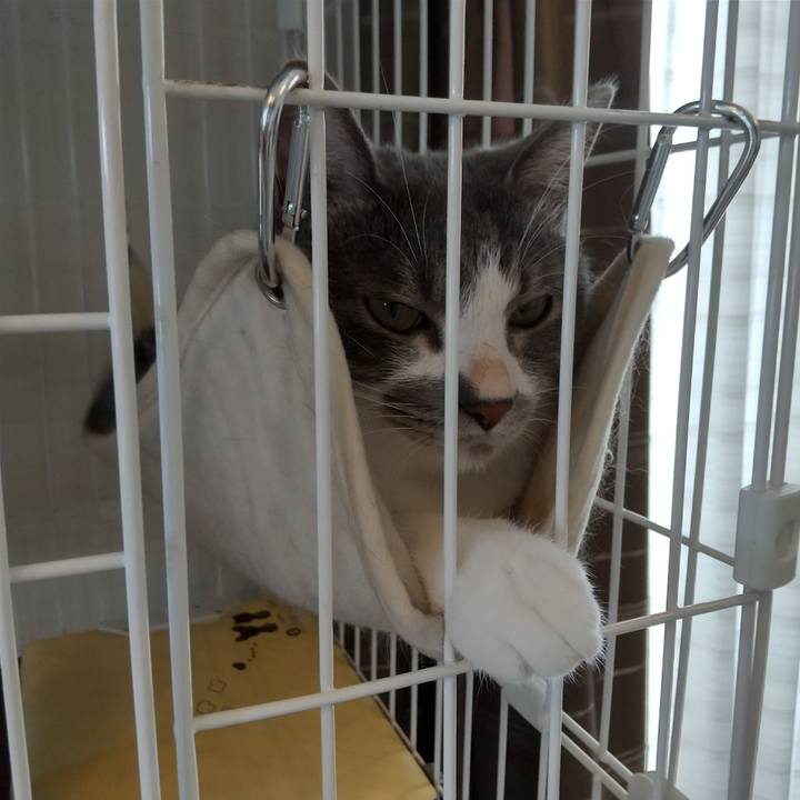 84d98e69 77a8 42f0 b5e7 166b45b03759 1626147501261