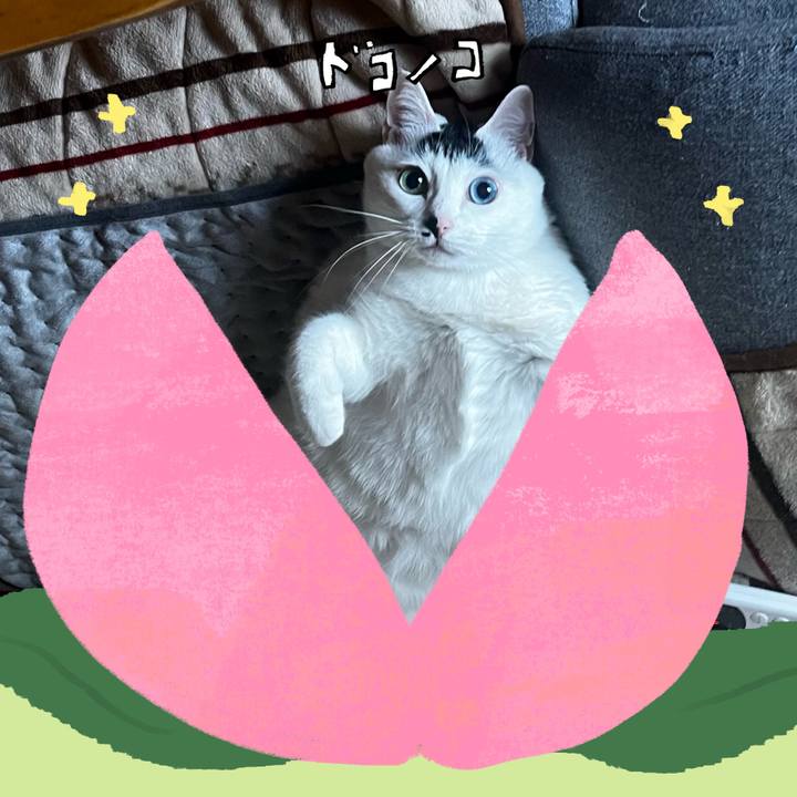 84d9a58d b839 4d6c b0d0 453f1bb59517 1771975772579