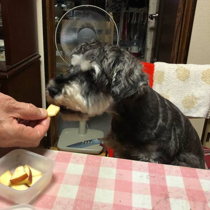 84d9bc14 844e 48a3 ab1a 10b9fc81ffda 1633090537312