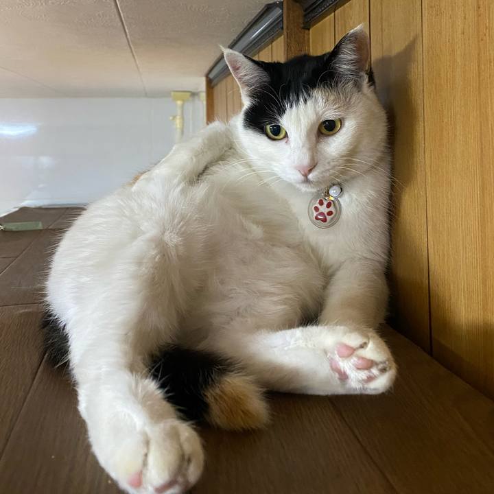 84d9bd9b e66f 45aa 924c 5763ea824d7a 1644527516823