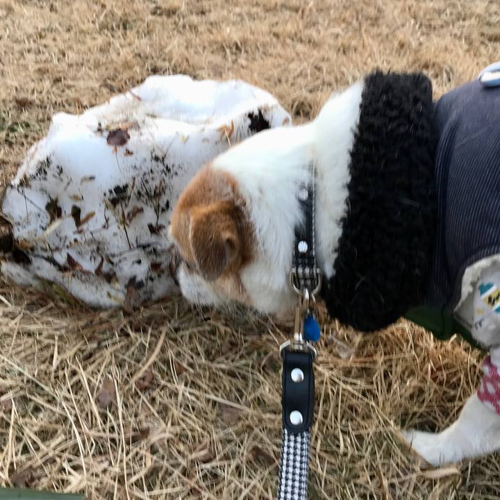 84d9d94a 8669 41ca ae6f 463cf06ec0a2 1642406402825