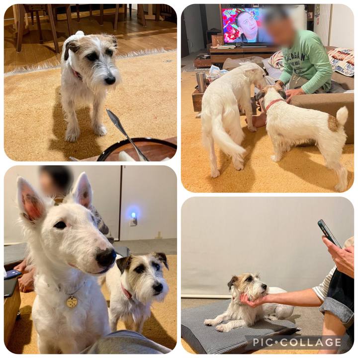 84da0870 8bf8 4459 8d71 666b137154b4 1663371932439