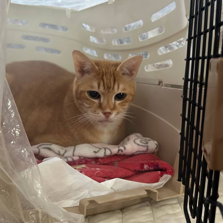 84da27db 55c5 4746 9bf5 7c893b521a92 1677364572812