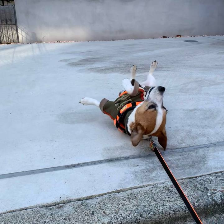 84da3f04 9d19 475f a267 baa2575a910f 1702986225638