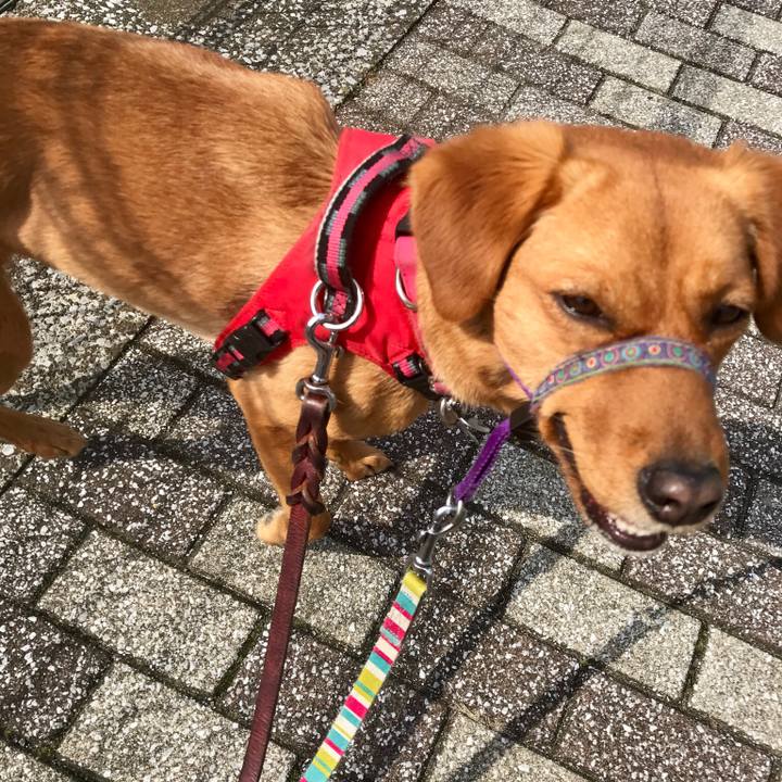 84da93ae 2142 4d61 96ba cdb6a520d810 1522048345173