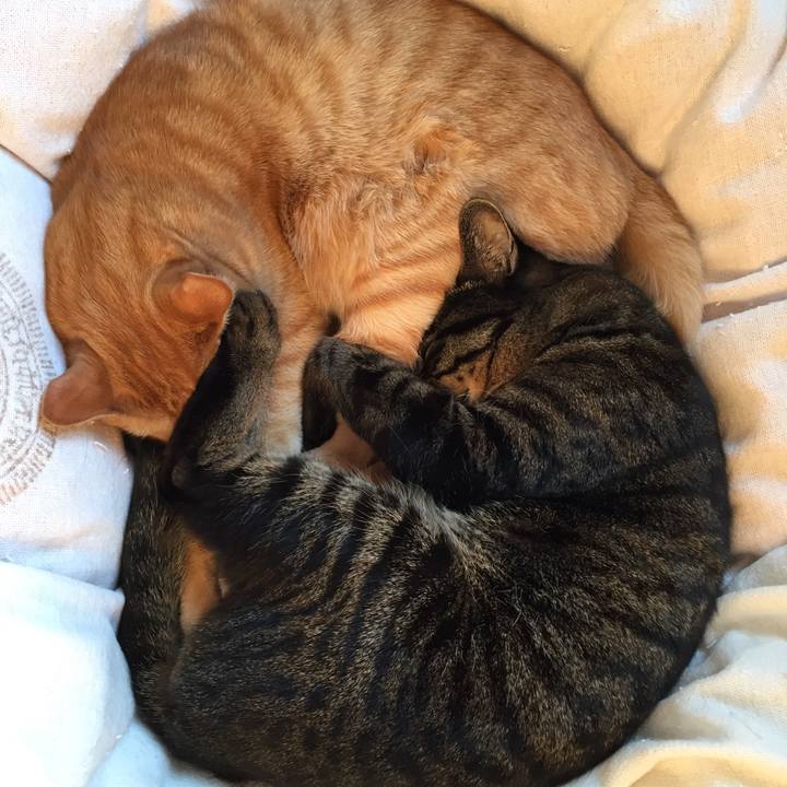 84da93e8 d550 4636 84de 650e3a7f8d60 1509921375573