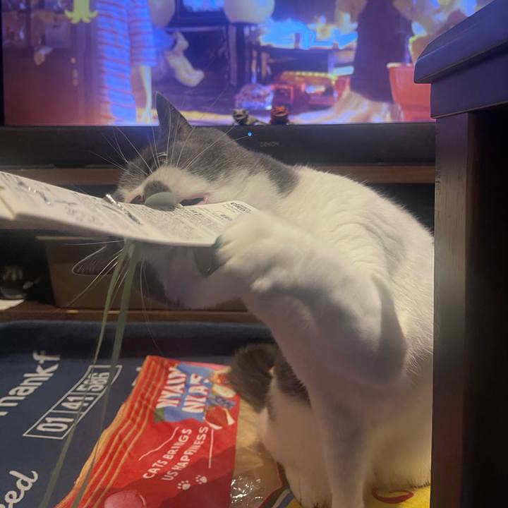 84daa1a7 cde3 4ec7 8291 d7730ef0e1f0 1696252225098