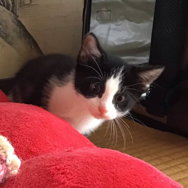 84dabd1b 2fbb 4a49 b959 118b97c10a1e 1624240422084