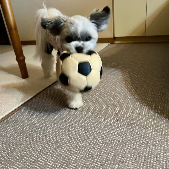 84daef73 f098 4bd8 ac04 a5354a825bd7 1641474907305