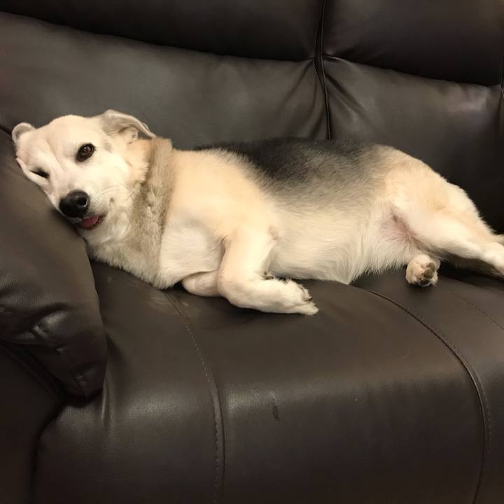 84db60f8 b465 44c7 94fa bd47e60d1d35 1604584080751