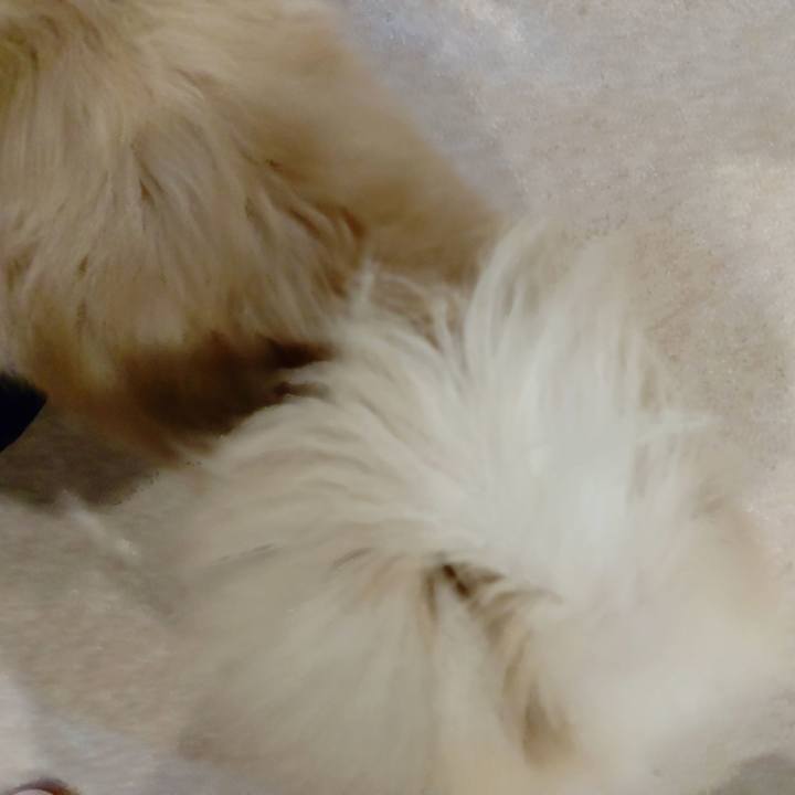 84db88ce d254 4947 be77 06b18c5cf3bb 1731324874649