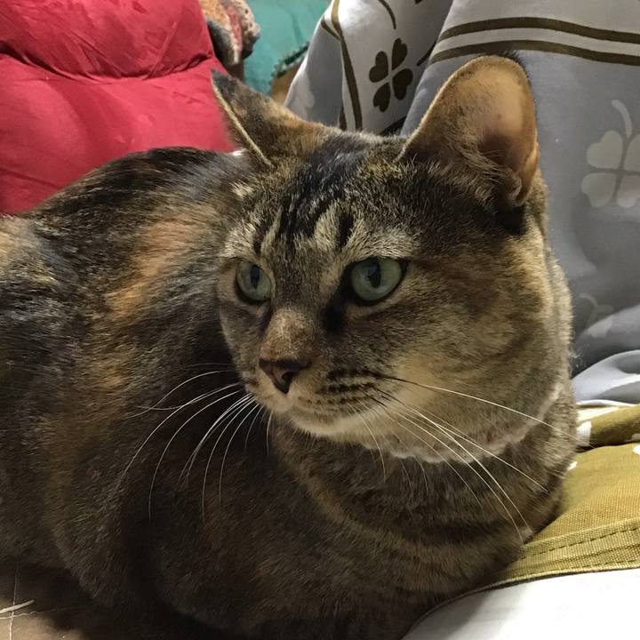 84db954d 15a3 4d0e af43 e0ac96a32d73 1666696483446