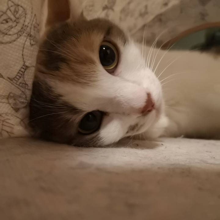 84dbaf59 1514 4566 a572 cfa7dd7d575b 1568211490790