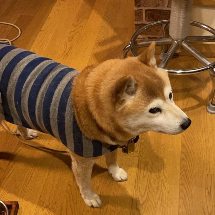 84dbd001 82df 47cf 8b76 abbb2ad84a6a 1643965466569