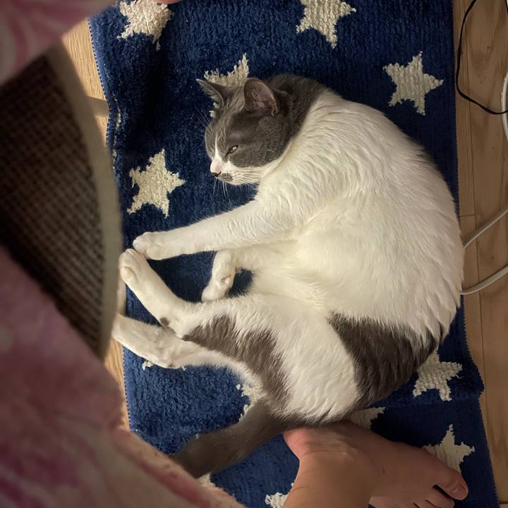 84dc09f2 03d1 4743 a9bb be31b83b395e 1625475638274