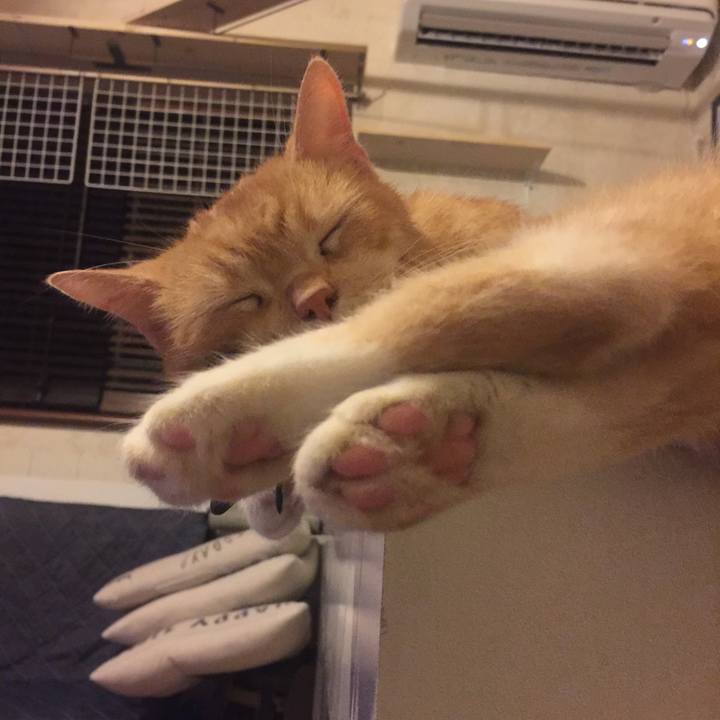 84dc0d77 ac23 49c0 bf93 62d1768b9c6e 1567784460996