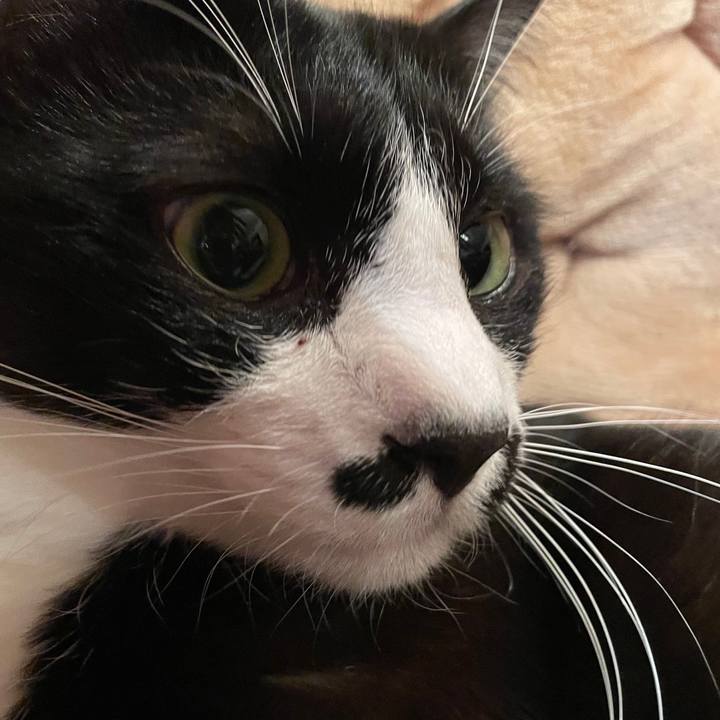 84dc1b50 656b 4334 a5f1 a3bddef704e9 1680354210016