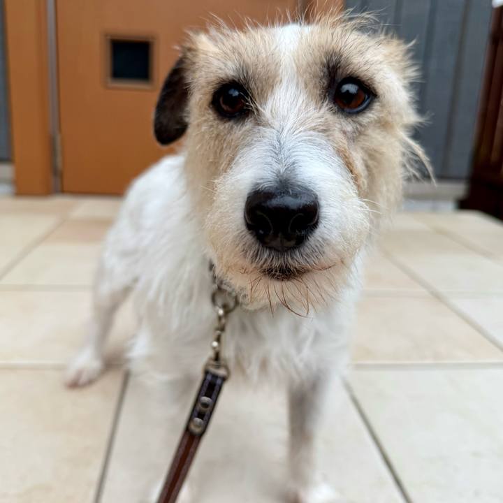 84dc74e6 6083 474d bfc4 aa308d3438aa 1773885543643