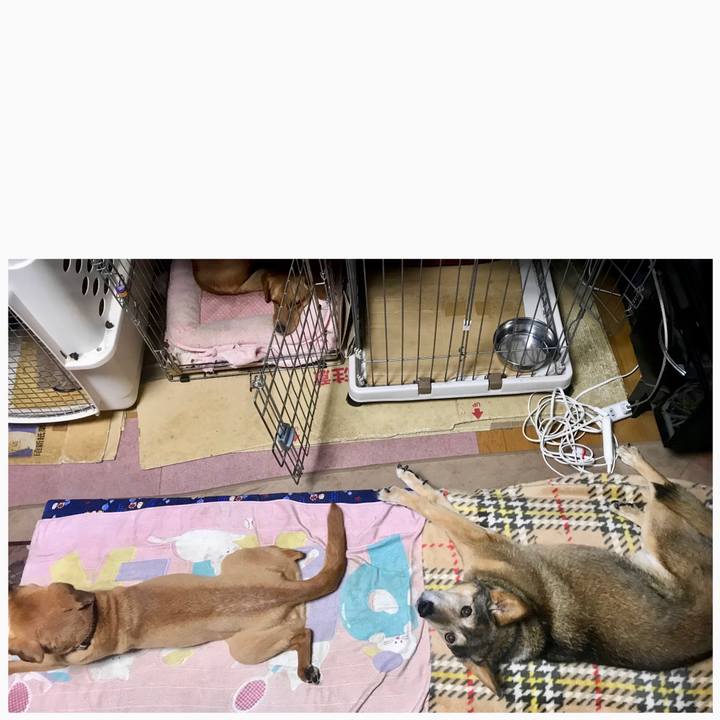 84dcac21 7741 46e4 add8 d5e163ef5948 1527910771007