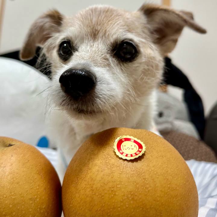 84dcd3c3 83bf 4784 84ba 79e936835fe2 1759831803546