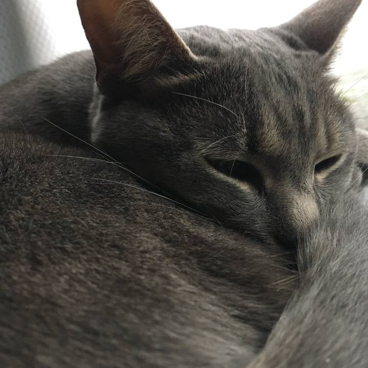 84dd4525 5d20 41e3 bf1c 18563cd8dc0e 1588744510567