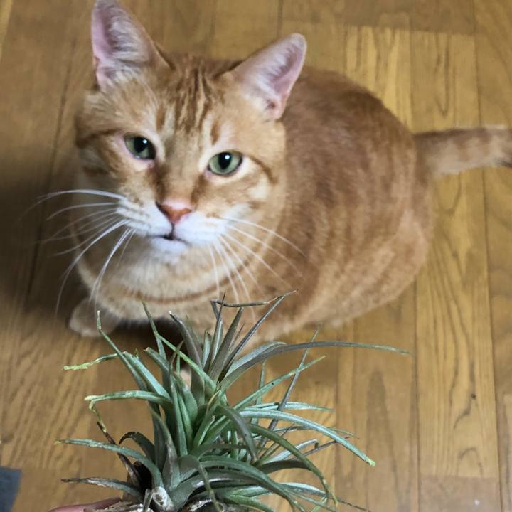 84dd5208 d040 49b8 9baf e7c5649f85ff 1622809216458