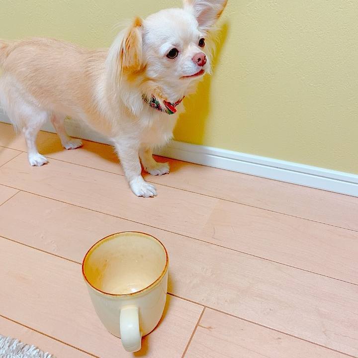 84dd5d27 c7d1 4e36 a425 66893bcd6e9a 1626174629822